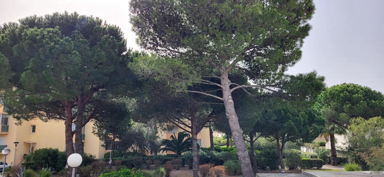 La Cigale De A 100 M De La Et Du Centre Du Grau Du Roi *